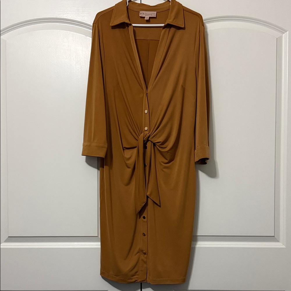 Elegant Brown Button-Down Dress